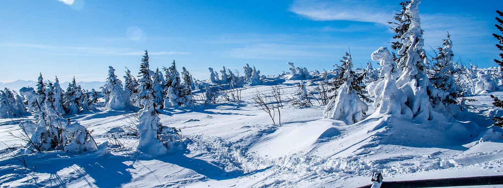 zagubieni-na-babiej-gorze-biegacze-odnalezieni-przez-gopr
