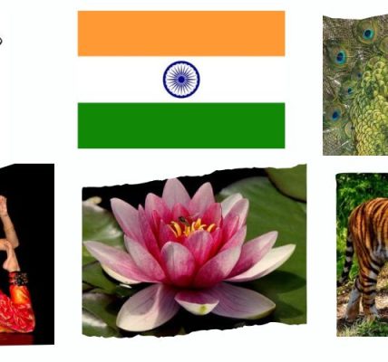 symbole-narodowe-indii